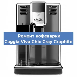 Ремонт кофемашины Gaggia Viva Chic Gray Graphite в Краснодаре